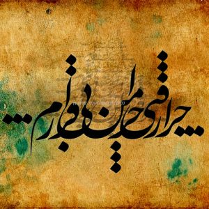 آلبوم خلیج فارس